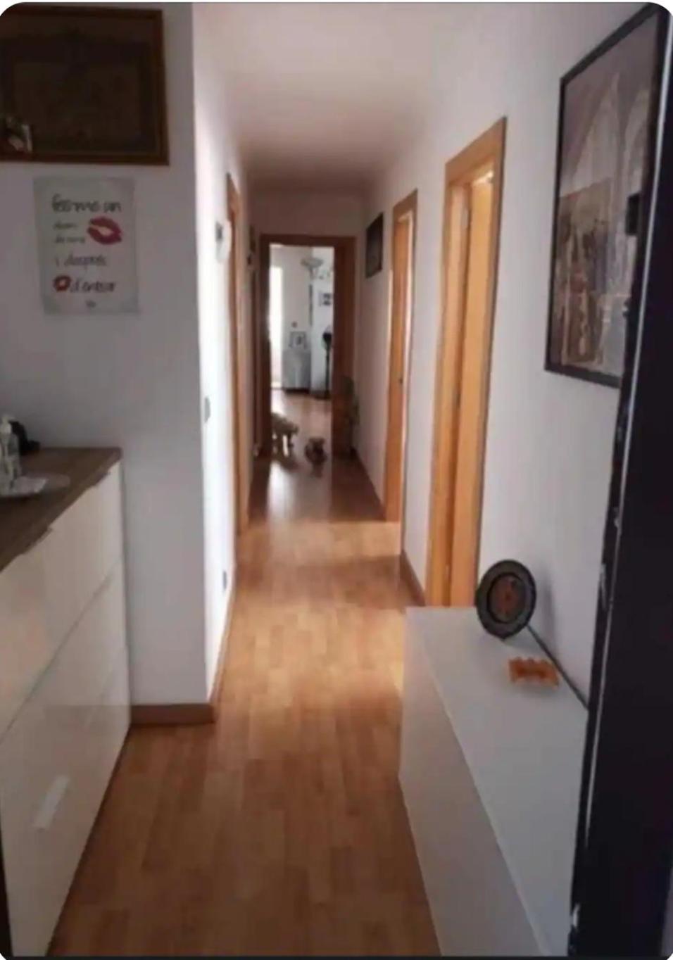 Habitacion Maria Jose Benidorm Exterior photo
